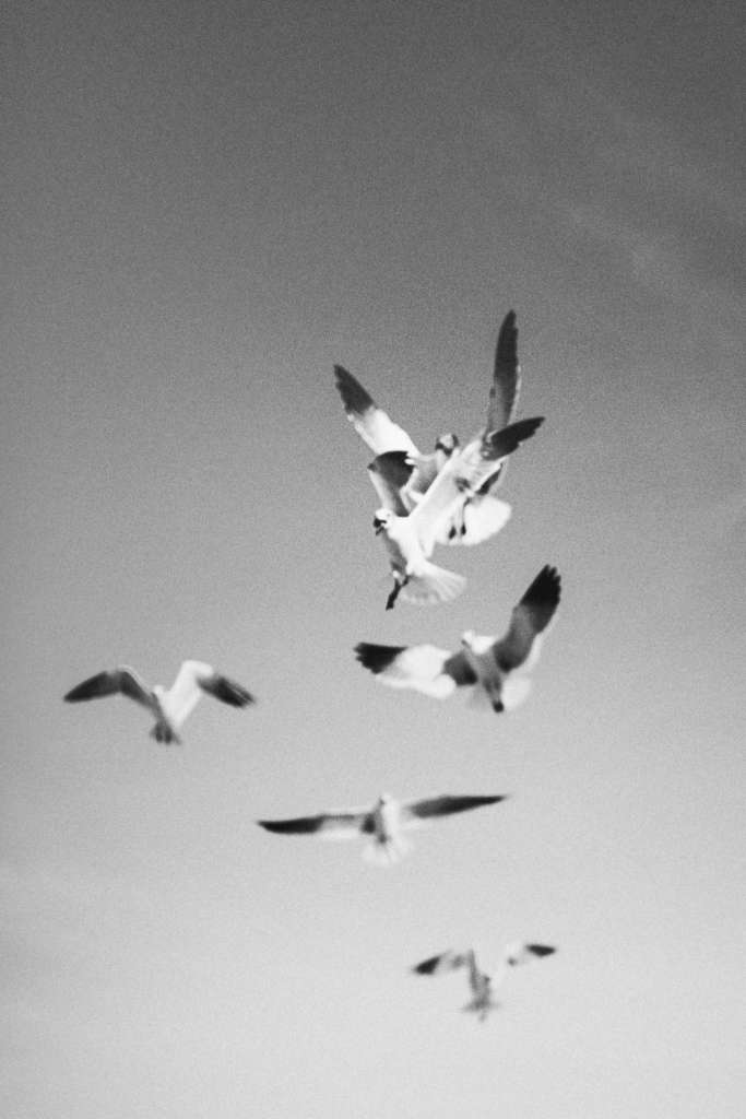 Moeven beim Paarshooting mit bebright photography